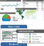 SEO Analytics